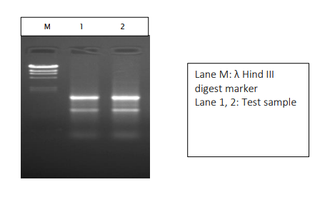 Nuclease Free Water - Application data-1