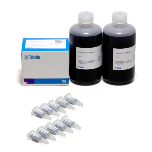 Takara Bradford Protein Assay Kit