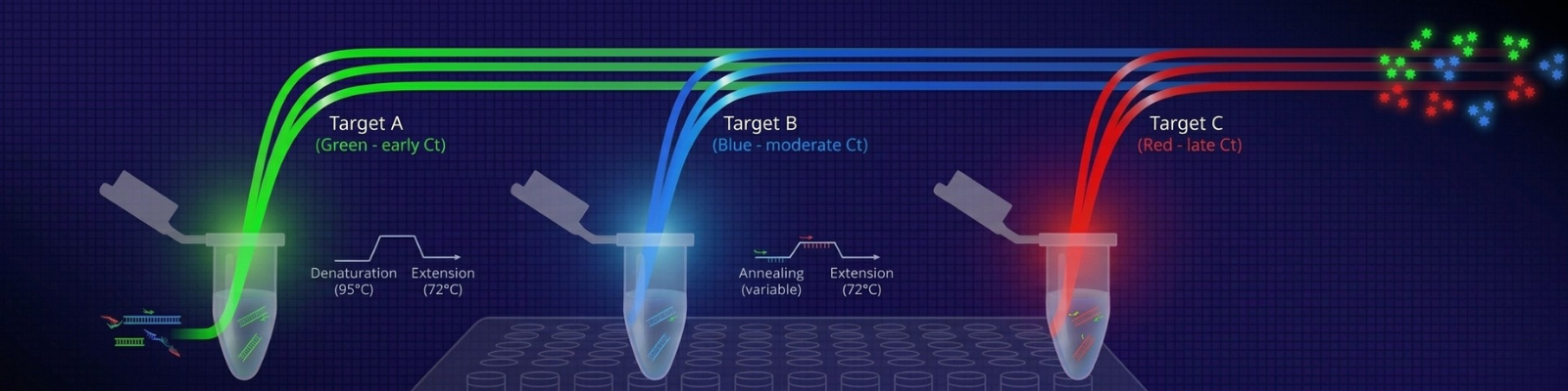 Real Time qPCR